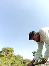 Wildlife_With_devil_89 webcam model stream image