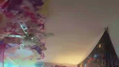 dcdomo webcam model stream image