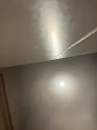 SashaCatt webcam model stream image