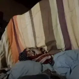 Ortiz3404 webcam model stream image