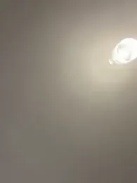 IrisBlues webcam model stream image