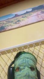 hottyboy1o webcam cam4 model stream image