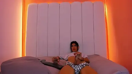 Sunny_OS webcam model stream image