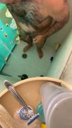 soypeludoword webcam model stream image