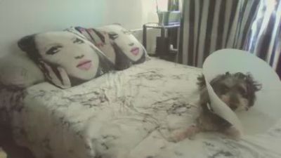 chaude34300 webcam model stream image