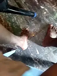 dolphiinn webcam model stream image