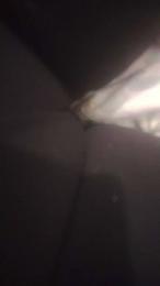 Lolipop_lo webcam model stream image