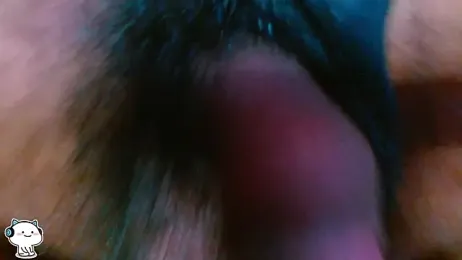 funndudd webcam model stream image