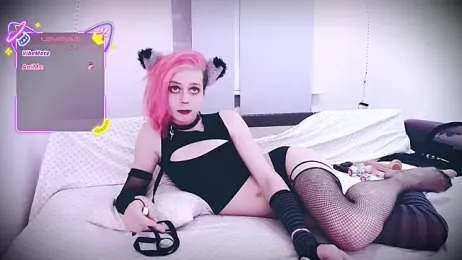 Littlepinkcat webcam model stream image