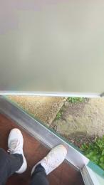 Bullnapol webcam model stream image