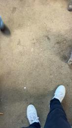 Bullnapol webcam model stream image