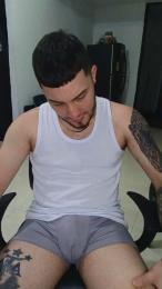 _LIONEL_ webcam model stream image