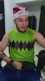 _LIONEL_ webcam model stream image