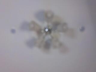 Sally Cha webcam flirt4free model stream image