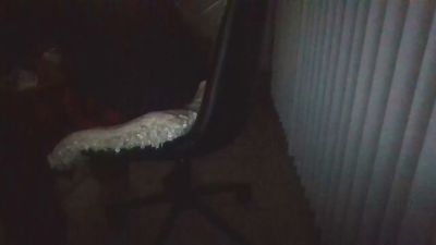 Silkworm_Piper webcam model stream image