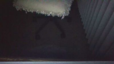 Silkworm_Piper webcam model stream image