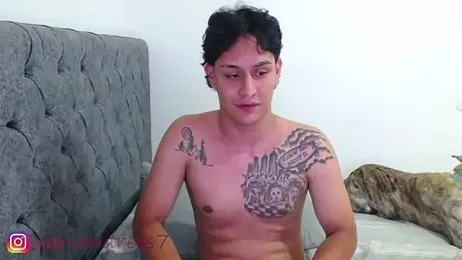 Stone_grey1_ webcam stripchat model stream image