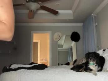 brielledaviss webcam model stream image