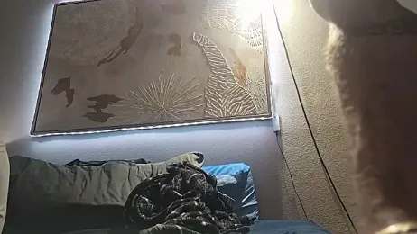 Mrkarizma webcam model stream image