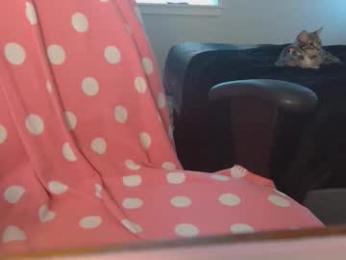 katynowhere webcam model stream image