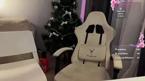 apex_sh webcam model stream image