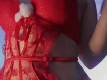 stanovaya300kg webcam model stream image