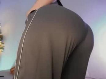 stanovaya300kg webcam model stream image