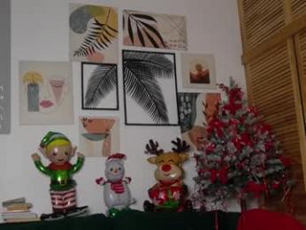 corni__ webcam model stream image