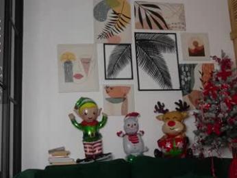 corni__ webcam model stream image