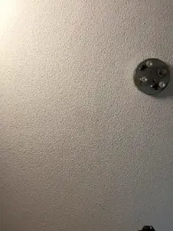 Greyoff webcam stripchat model stream image