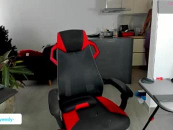 troywesly_ webcam model stream image