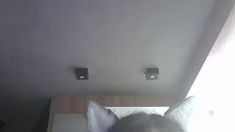 SkinnyKitten webcam model stream image