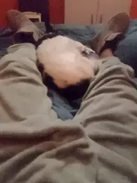 AMOyPUTA webcam model stream image