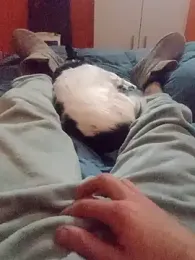 AMOyPUTA webcam model stream image