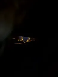 MerlinDave webcam model stream image