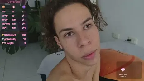 grey___27 webcam model stream image