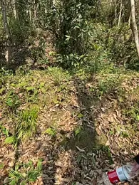 yeye90947 webcam model stream image