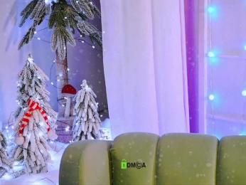 -ANN webcam model stream image