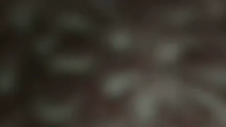 beautylovess webcam model stream image