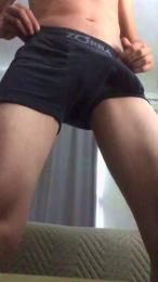 sw_foz webcam model stream image