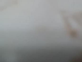 junk_yard_dog webcam model stream image