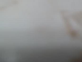 junk_yard_dog webcam model stream image