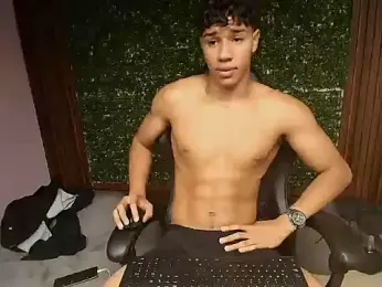 damon_sw webcam model stream image