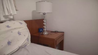 coques3 webcam model stream image