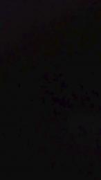 Geolau webcam model stream image