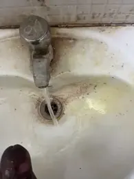 Gotghsg webcam model stream image