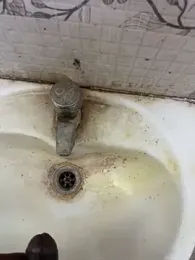 Gotghsg webcam stripchat model stream image