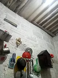 hairy_mannn webcam model stream image