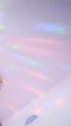 Donostipar webcam model stream image