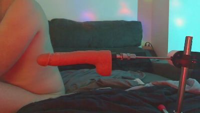 Donostipar webcam model stream image